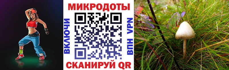 Псилоцибиновые грибы Cubensis  где купить наркоту  Ижевск 