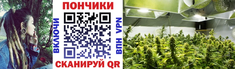 МАРИХУАНА ГИДРОПОН купить наркотик Ижевск